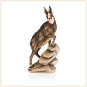 wildtiere-kat